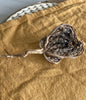 Rose de Jericho • Chajarat Mariam